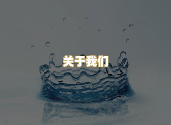 关于我们